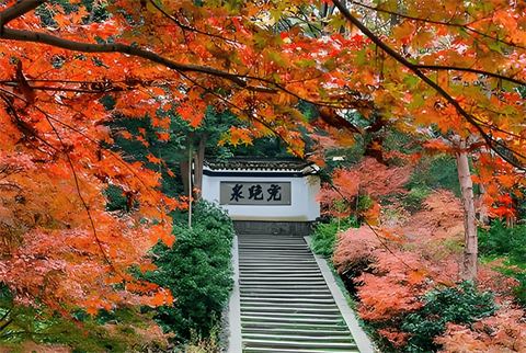 天平山顶