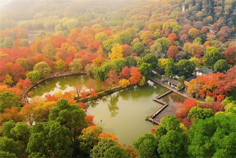 天平山枫林